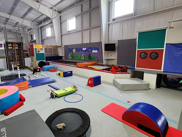 피트니스 소프트 포장의 응용